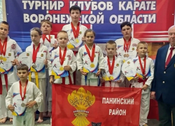 Панинские каратисты завоевали 8 золотых медалей на областном турнире