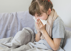 В Воронежской области ожидается новая волна гриппа