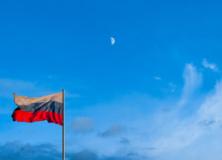 В Воронежской области на выборах проголосовали более 40%