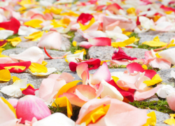 В Воронежской области на Красную горку поженились 143 пары