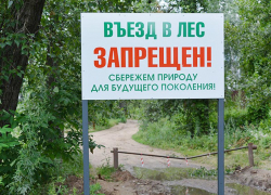В Воронежской области продлили запрет на въезд в леса