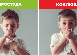 В Воронежской области растёт заболеваемость коклюшем и скарлатиной