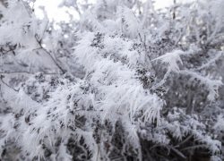 В Воронежской области объявили штормовое предупреждение из-за аномальных холодов