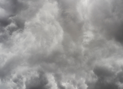 В Воронежской области похолодает до +2