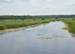 В Воронежской области отметят границы водоохранных зон и прибрежных защитных полос рек