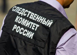 Экс-директор детдома ответит за избиение сирот в Панинском районе