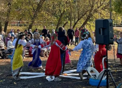 В панинской Александровке впервые провели День села