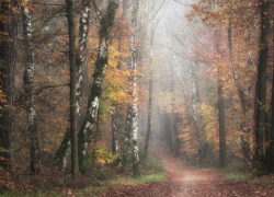 В Воронежской области за неделю пропали три ребёнка