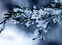 В Воронежской области 28 человек обратились за медицинской помощью из-за обморожения