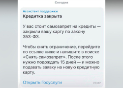 Воронежцев предупредили о новой схеме мошенничества под предлогом самозапрета на кредиты