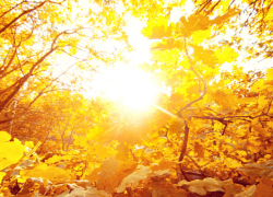 Синоптики сообщили, какая погода ждёт жителей Воронежской области на новой неделе