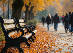 В Воронежской области ожидается потепление до +15 градусов