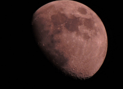 В сентябре жители Воронежской области смогут увидеть лунное затмение