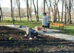 В селе Казанка Таловского района высадили цветы у мемориала землякам-фронтовикам
