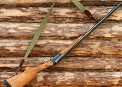 В Воронежской области прекратили выдачу разрешений на добычу птиц