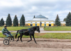 В Бобровском районе отремонтировали подъезд к Хреновскому конезаводу