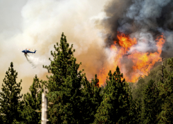 Стало известно, какие месяцы станут самыми пожароопасными для воронежских лесов