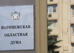 На выборах в Воронежской области будут работать волонтёры