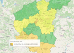 Оранжевый уровень опасности объявили из-за погоды в Воронежской области