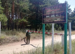 В Воронежской области на въездах в лес установили почти 500 шлагбаумов