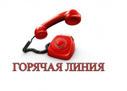 Воронежский Роспотребнадзор расскажет об организации школьного питания