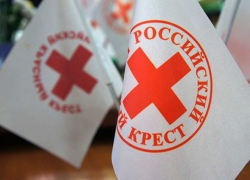 «Российский Красный Крест» направил 8 т гумпомощи для беженцев Донбасса