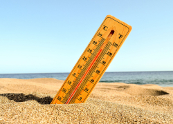 Как жителям Воронежской области пережить жару?