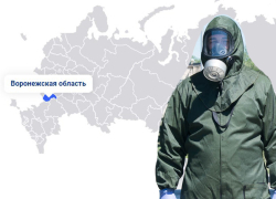 Воронежская область взобралась на 7-ю позицию ковидного рейтинга регионов