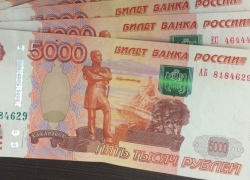 Предпринимательница из Богучарского района похитила из бюджета почти 350 тыс. рублей