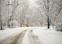 На первой рабочей неделе в Воронежской области ожидаются морозы, мокрый снег и гололёдица