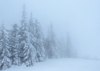 В Эртильском районе высота сугробов достигла 47 см