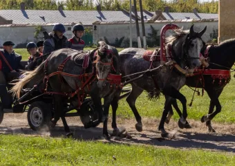 В Бобровском районе отпраздновали 250-летие Хреновского конного завода