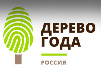 Жителей Воронежской области просят проголосовать за 300-летний дуб на конкурсе деревьев
