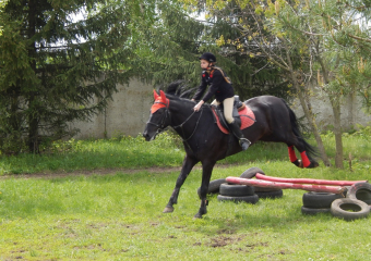Конники из Аннинского района провели соревнования по конкуру 