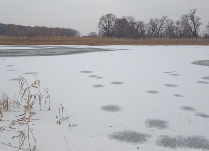 В Воронежской области двое детей провалились под лед и утонули