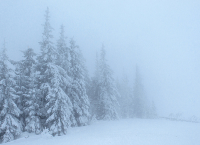 В Эртильском районе высота сугробов достигла 47 см