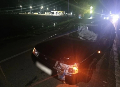 В Воронежской области 39-летний мужчина насмерть сбил пенсионера