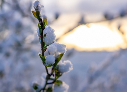 Прогноз погоды в Воронежской области на 8 марта