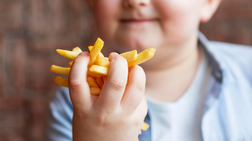 Бобровские школы примут участие в эксперименте здорового питания