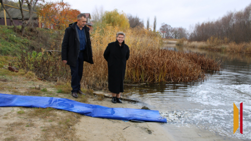 В Боброве выпустили 70 тыс мальков толстолобика в реку Битюг