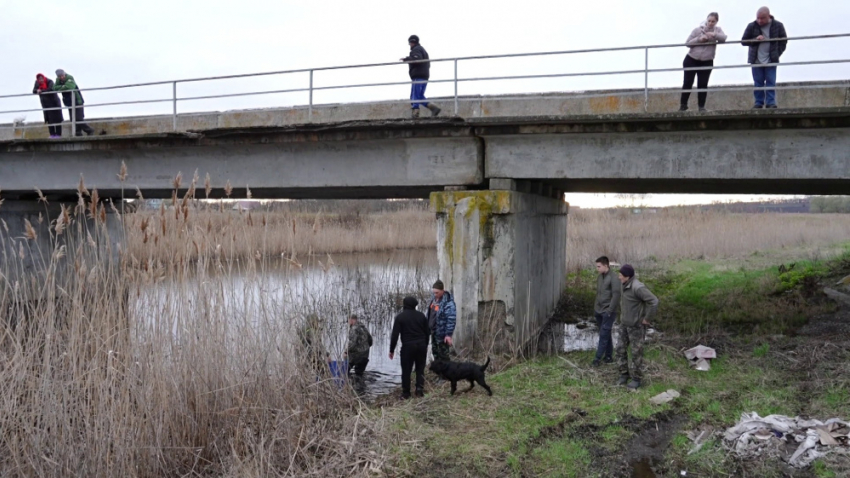 Жители трёх сёл Аннинского района своими силами спасают реку от загрязнений