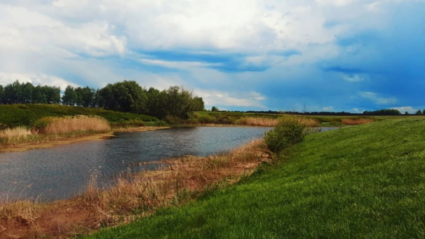 В Панинском районе появится новая особо охраняемая природная территория