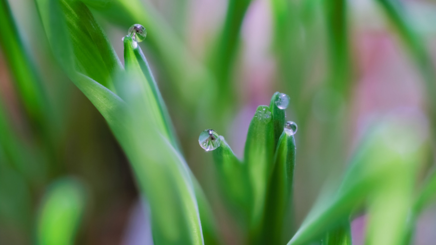 В Воронежскую область нагрянет потепление до +17 градусов