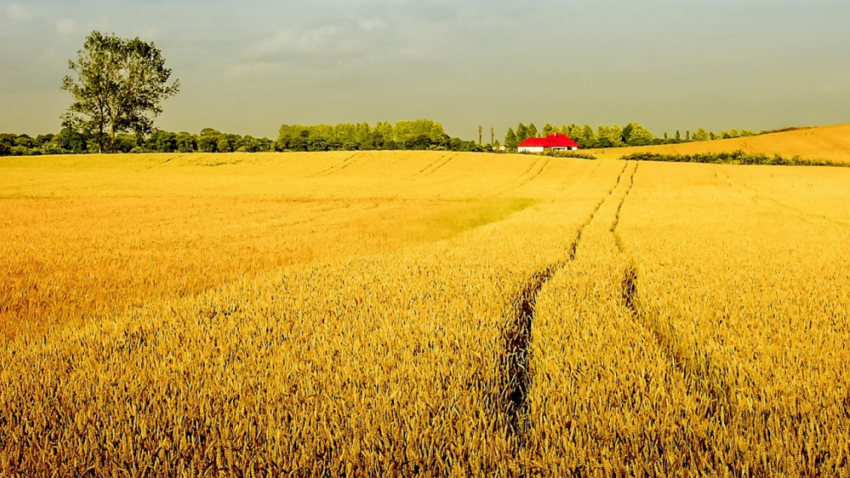 Названия 22 воронежских населённых пунктов вошли в число самых смешных в стране