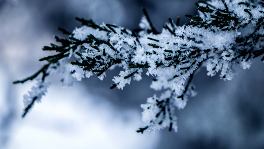 В Воронежской области объявили штормовое предупреждение из-за аномальных морозов