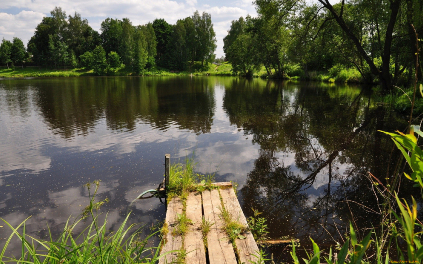 В Таловском и Аннинском районах обнаружили десятки незаконных участков