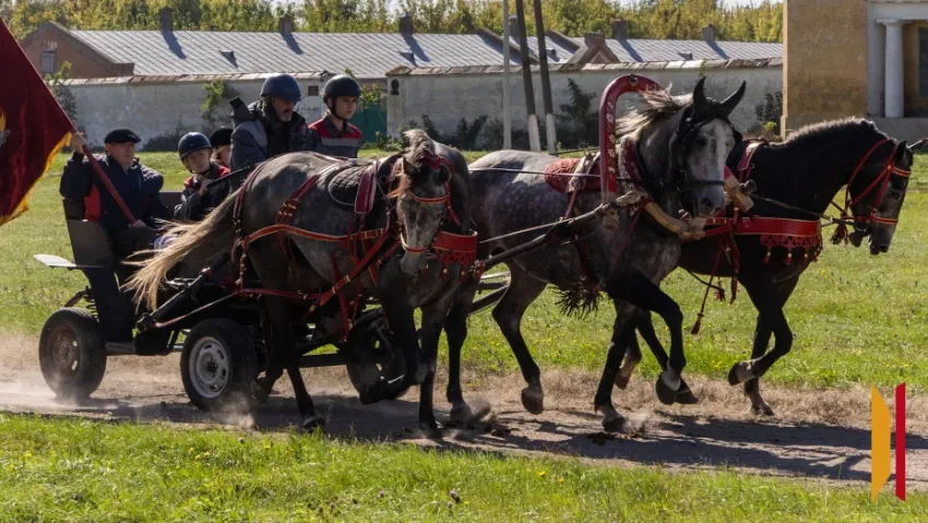 В Бобровском районе отпраздновали 250-летие Хреновского конного завода