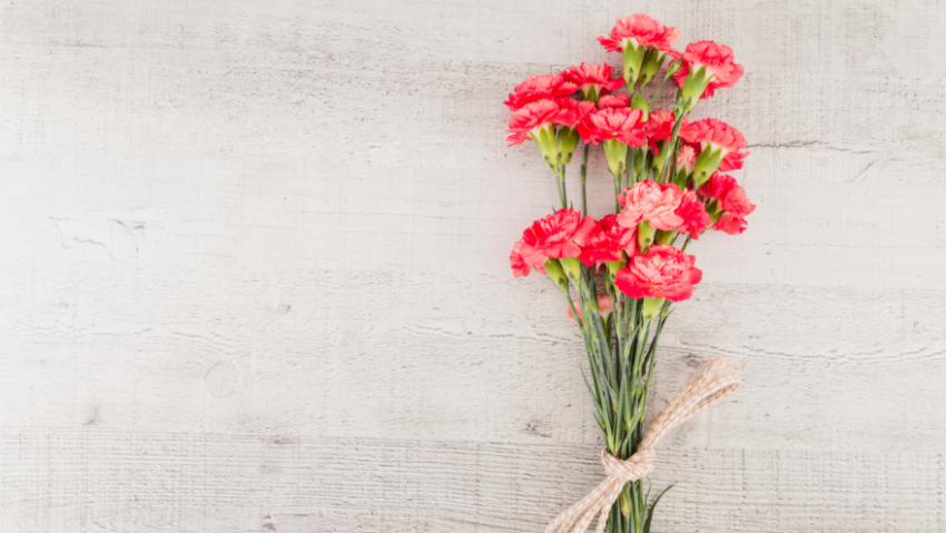 Воронежская область присоединилась к акции «Красная гвоздика»