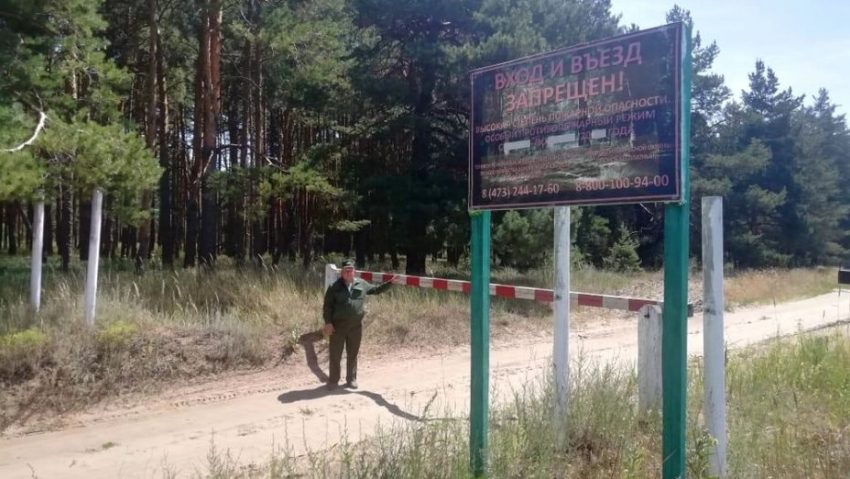 В Воронежской области на въездах в лес установили почти 500 шлагбаумов