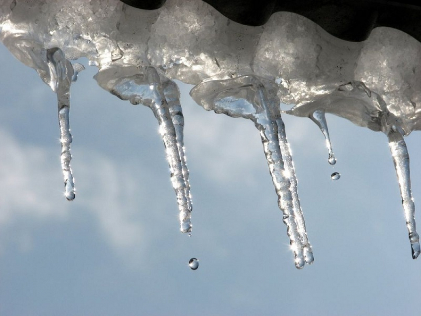 Весна придет по расписанию: резкое потепление накроет Воронежскую область